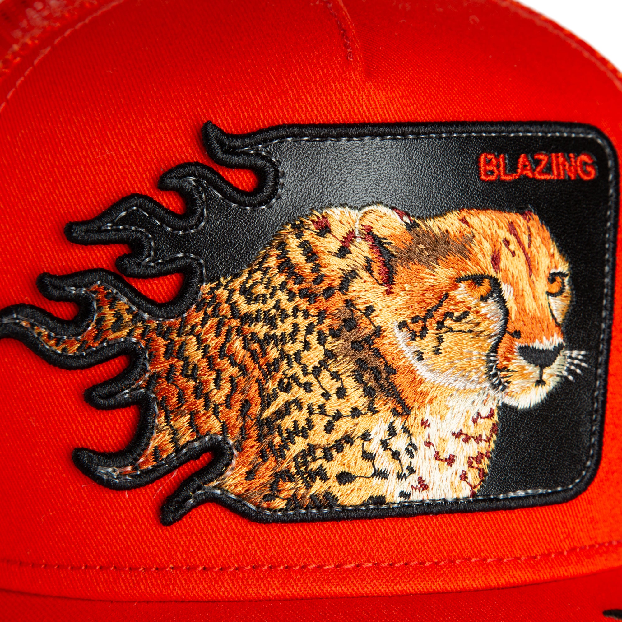 Blazing Flames - Blaze