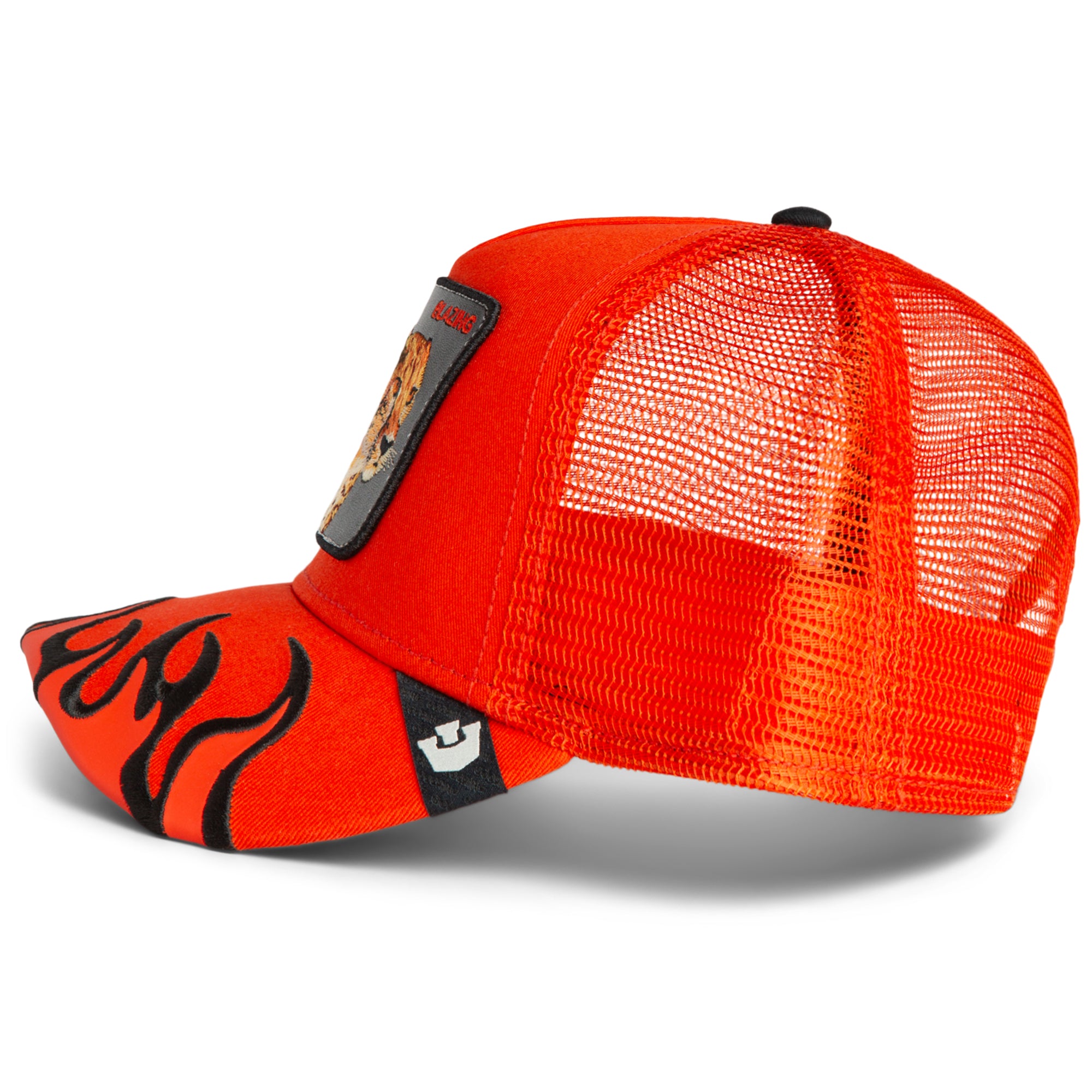 Blazing Flames - Blaze
