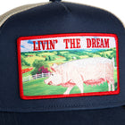 Greener Grass - Livin' The Dream - Edge