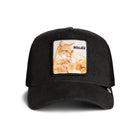 Terry Cloth Cat - Void