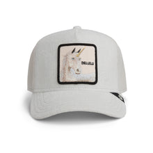 Terry Cloth Unicorn - Digital
