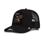 Représenter Eagle Trucker - Vide
