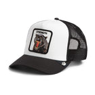 Force Panther Trucker - Poussière / Vide