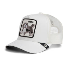 Bestie Trucker - Dust