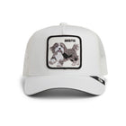 Bestie Trucker - Dust