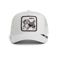 Bestie Trucker - Dust