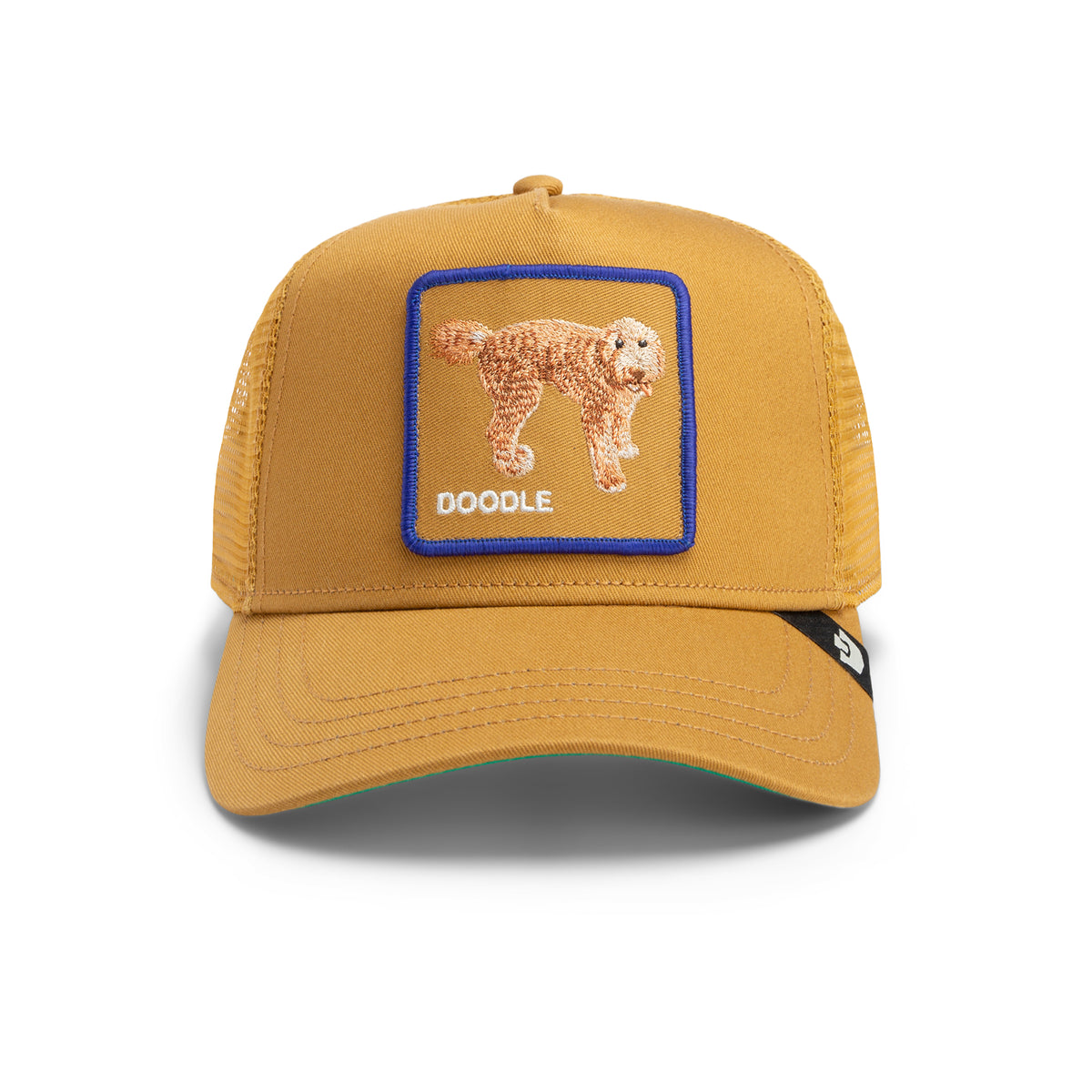 Shadow Golden Doodle - Brown-1