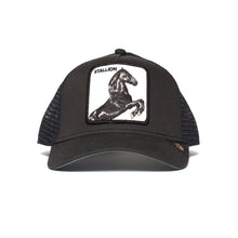 Black Stallion