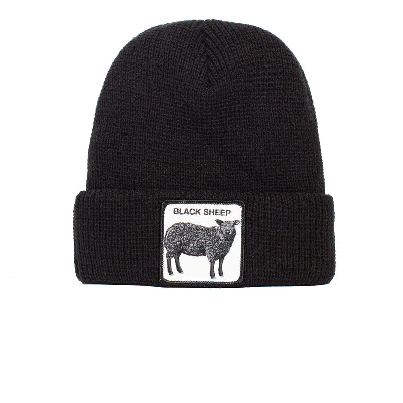 Sheep This Black