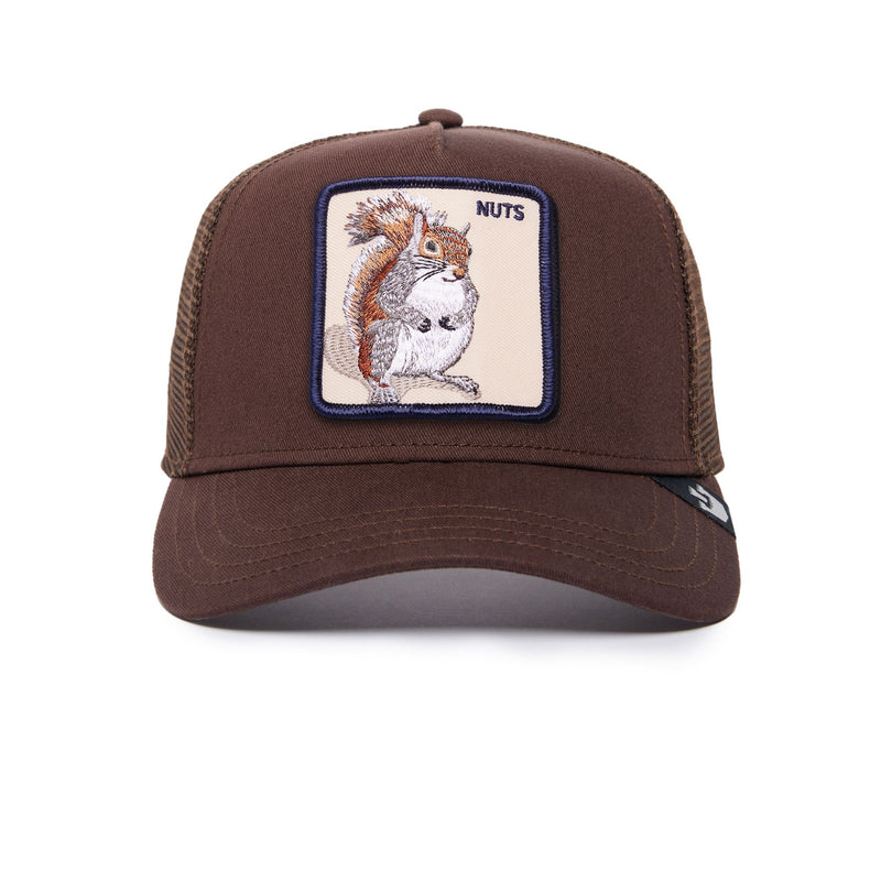 The Nuts Squirrel Brown