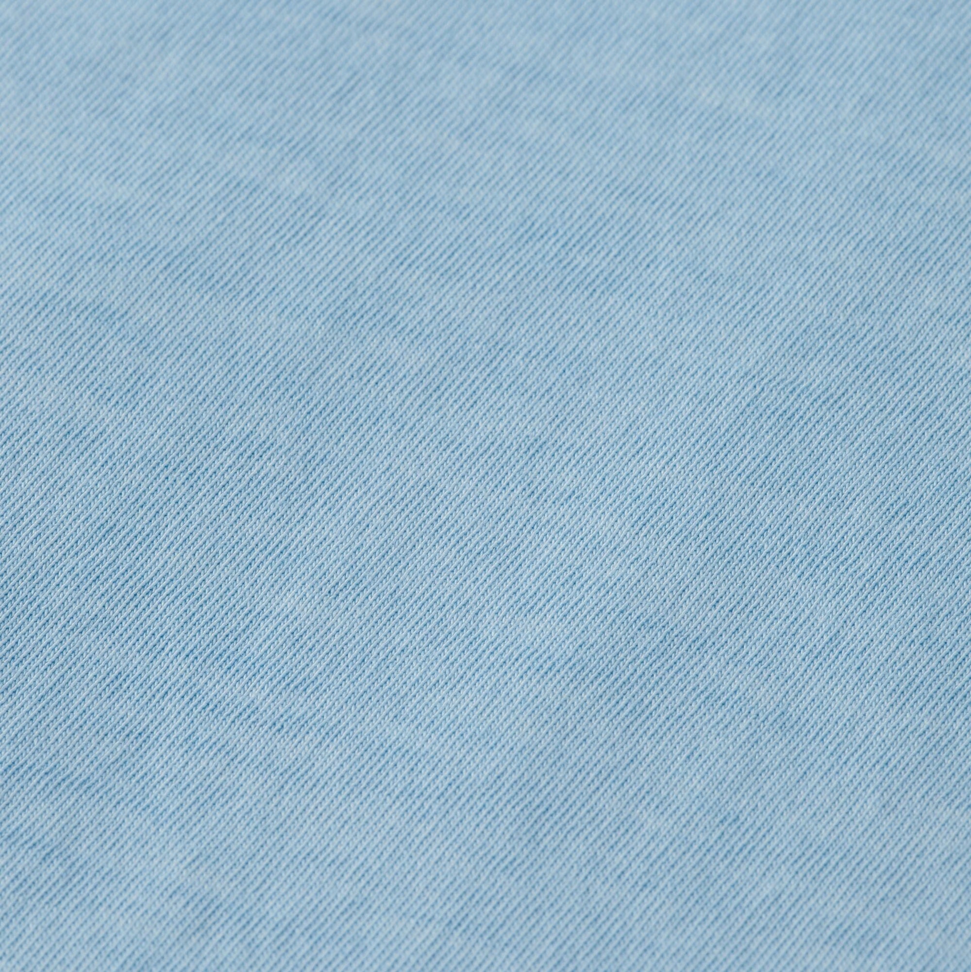 Spring Blue Raw Edge Relaxed Fit T-Shirt