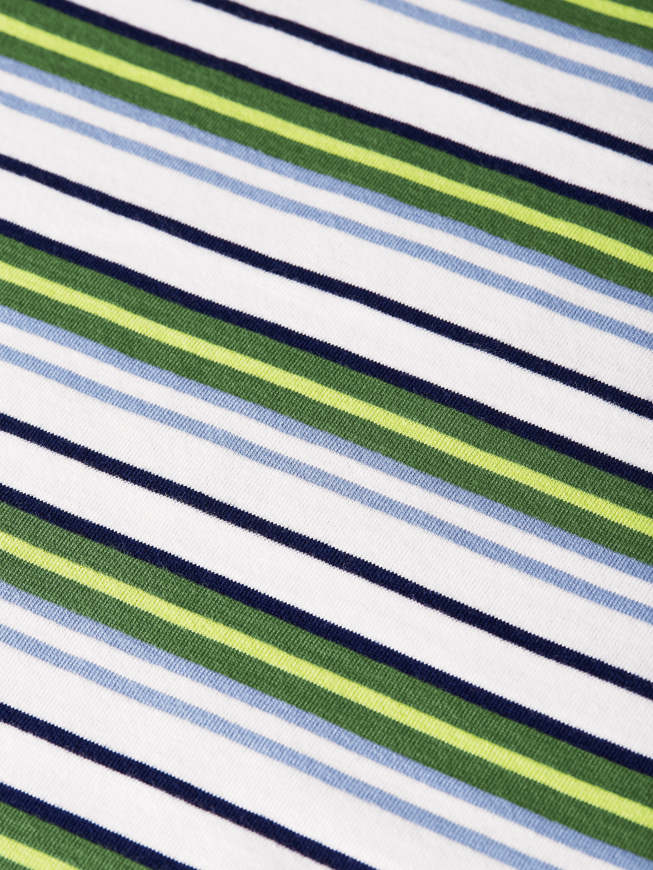 Relaxed Fit Yarndyed T-Shirt - Garden Green Stripe