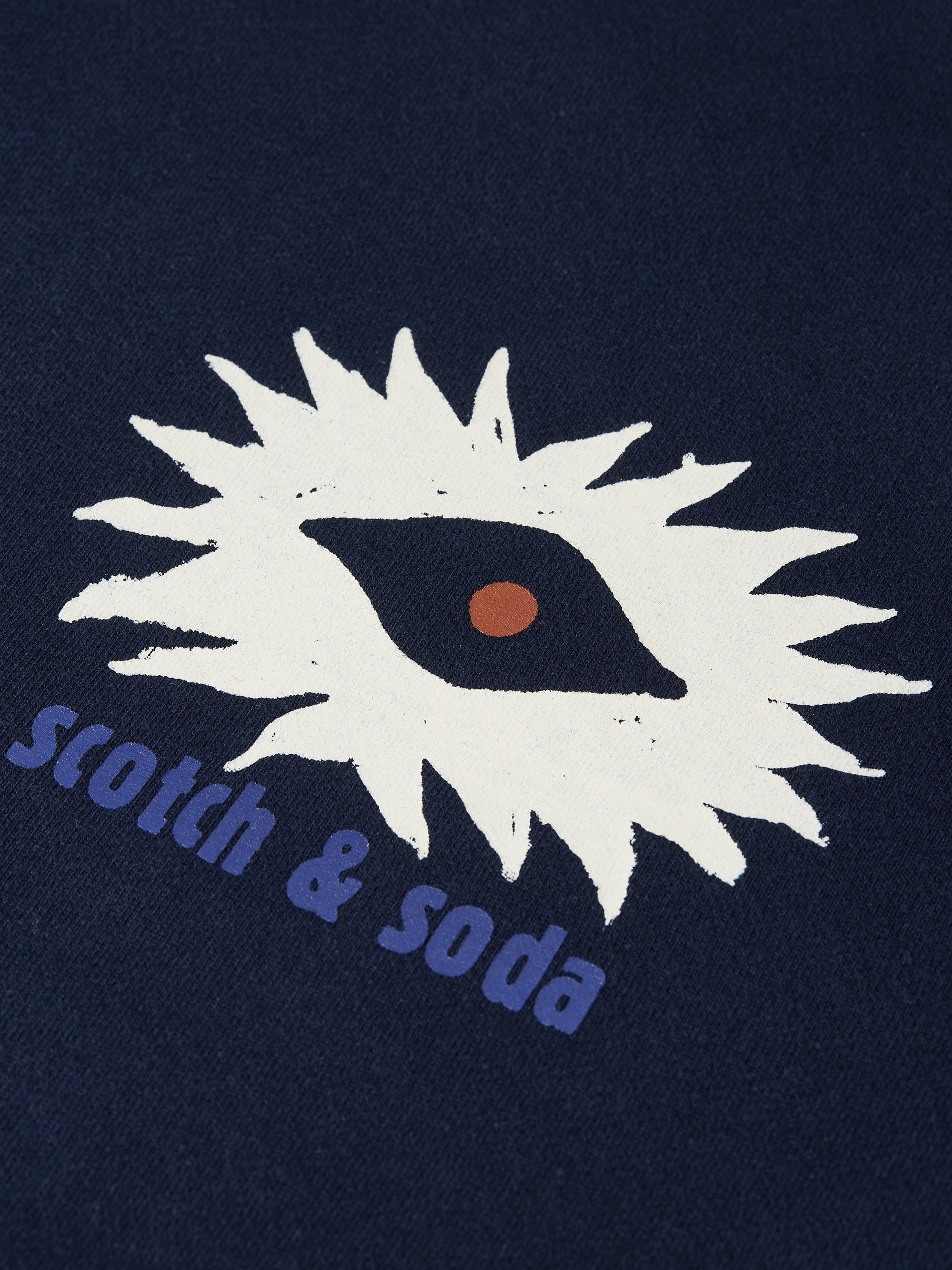 Front And Back Artwork Regular Fit Sweatshirt - Sky Captain