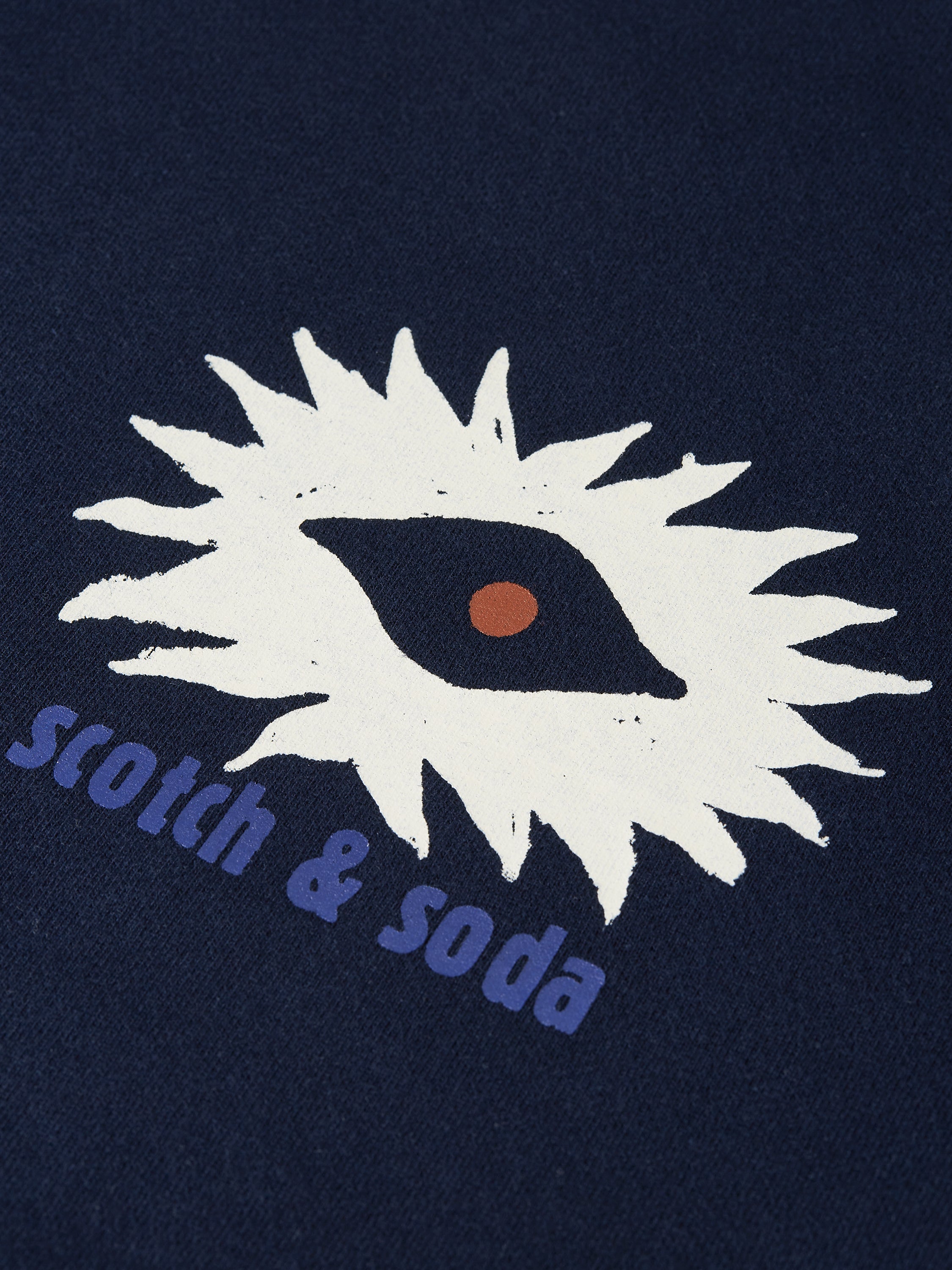 Front And Back Artwork Regular Fit Sweatshirt - Sky Captain