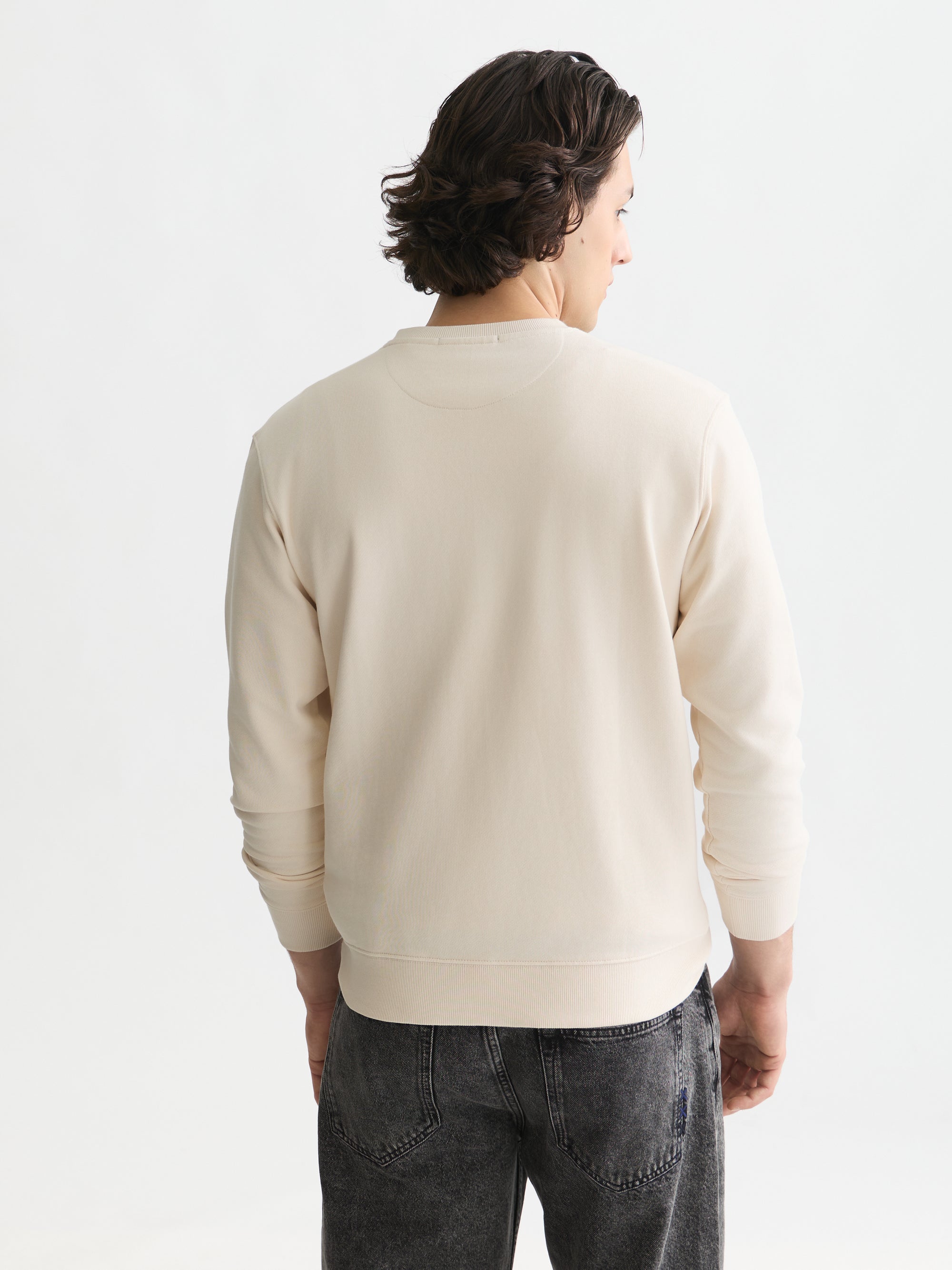 Left Chest Artwork Regular Fit Sweatshirt - Eggnog