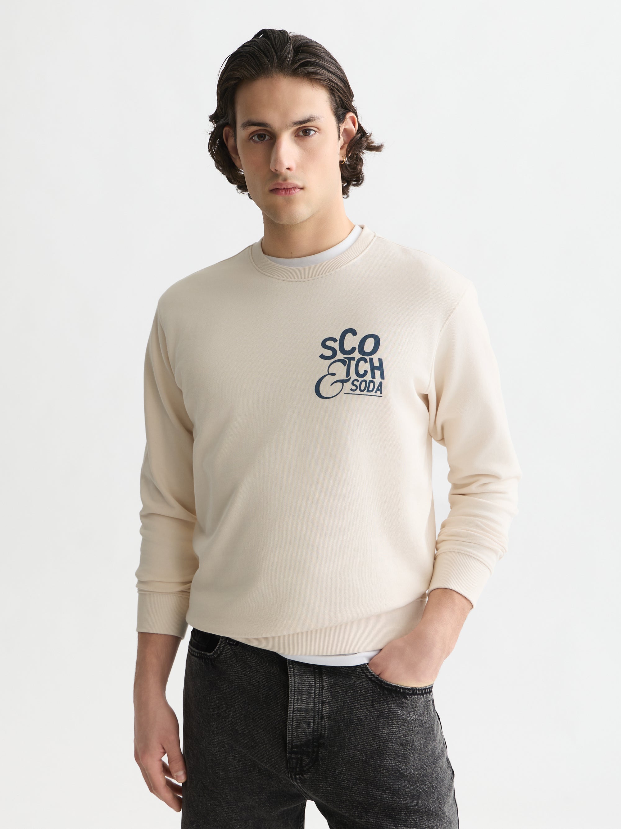 Left Chest Artwork Regular Fit Sweatshirt - Eggnog