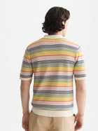 Striped Structured Knitted Regular Fit Polo - Multicolour Stripe