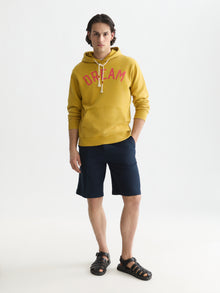 Front Artwork Washed Regular Fit Hoodie - Gold Flake