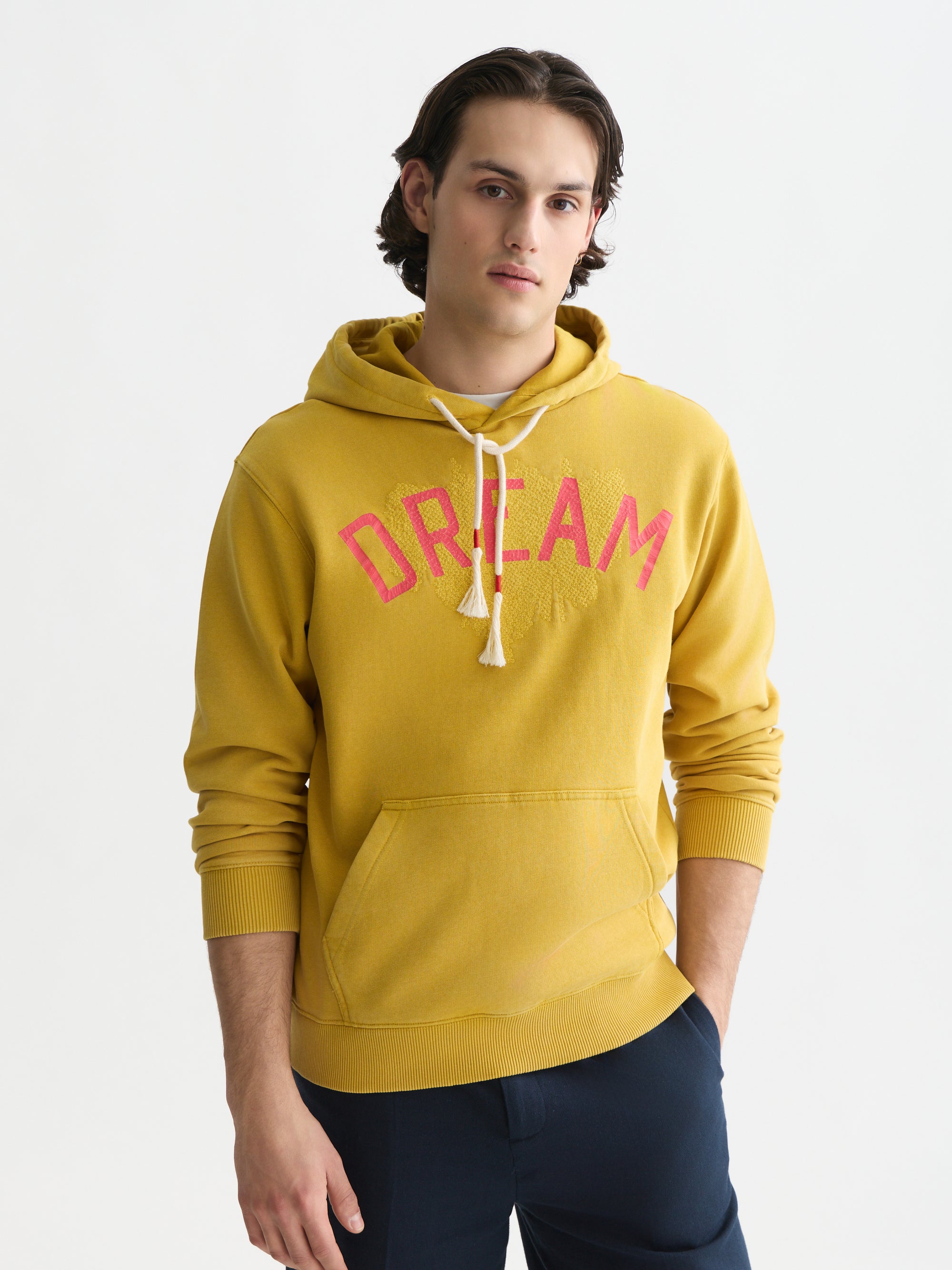 Front Artwork Washed Regular Fit Hoodie - Gold Flake