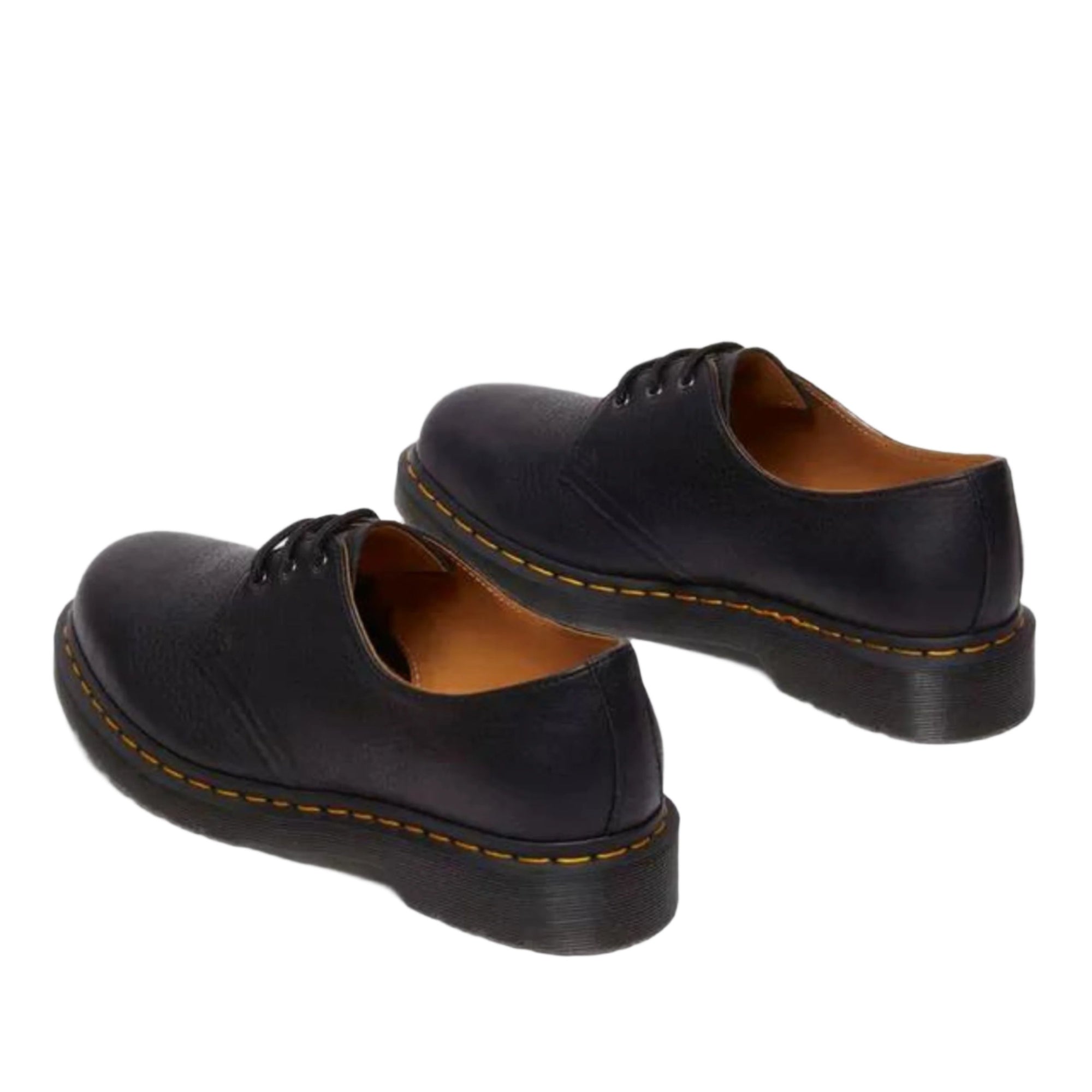 1461 Black Ambassador