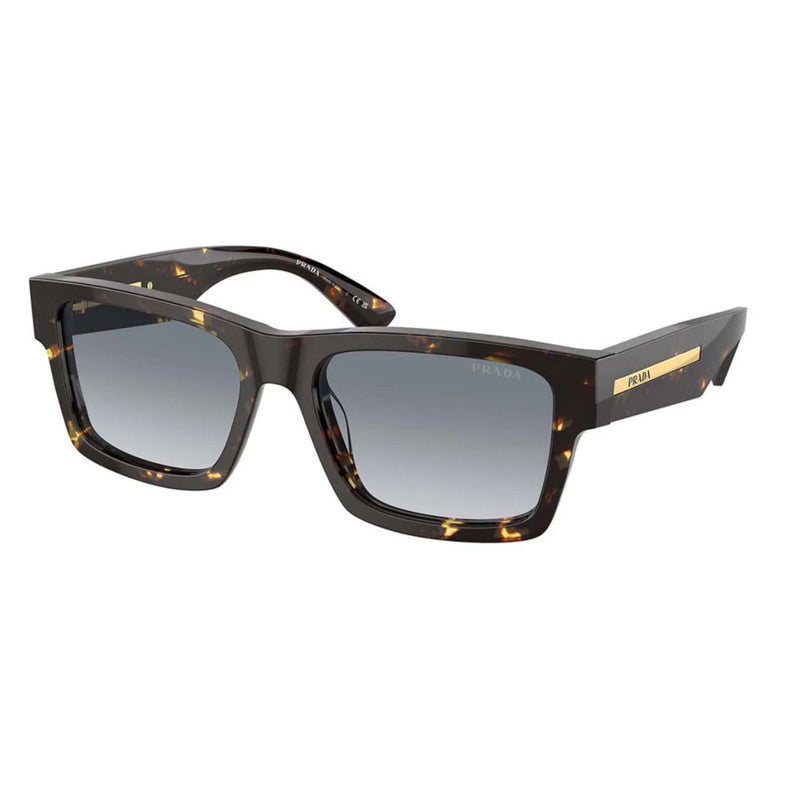0PR 25ZS - Black malt tortoise