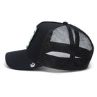 The Trout Fish Black
