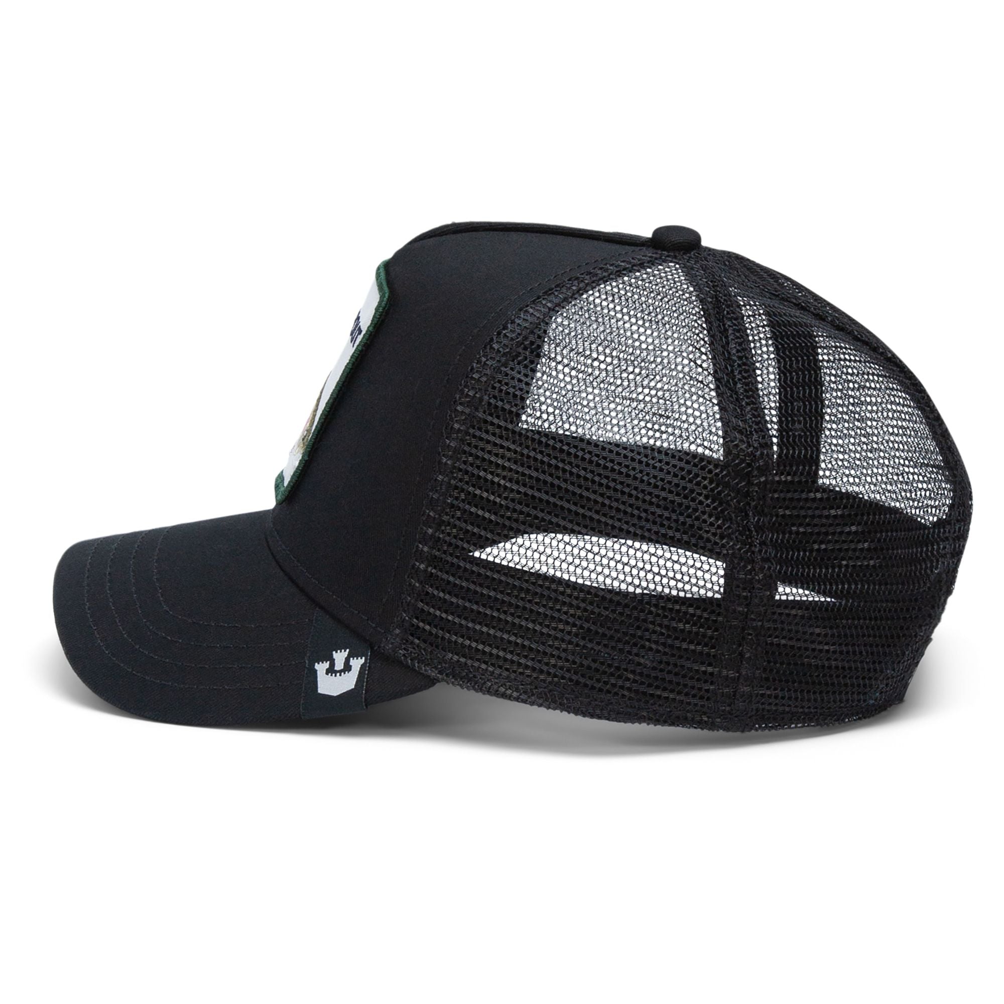 The Trout Fish Black
