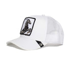 The Stallion - White