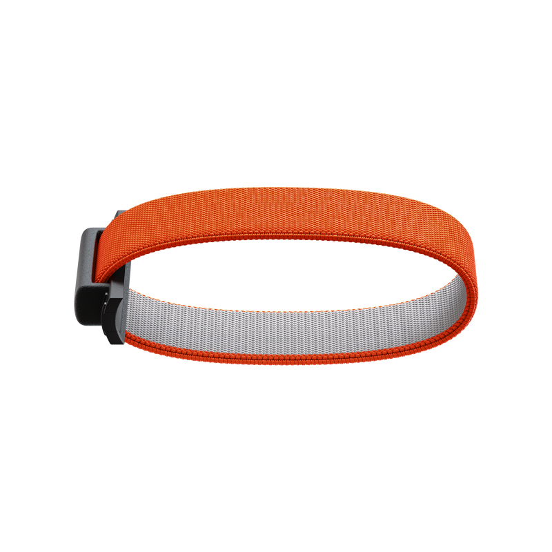 Add-On Bandwallet  - Orange
