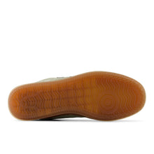 T500 - Garter Snake