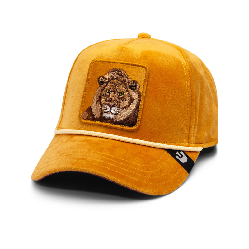 Lion Royalty - Cream