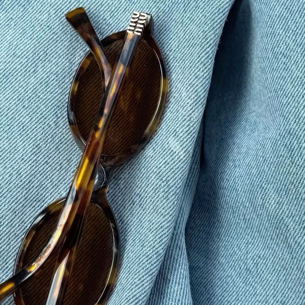 Miu Miu — visuel de marque